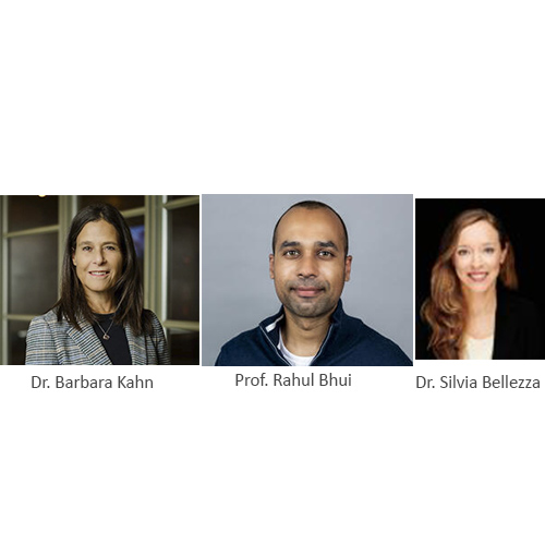 Three webinars organized by the Marketing area