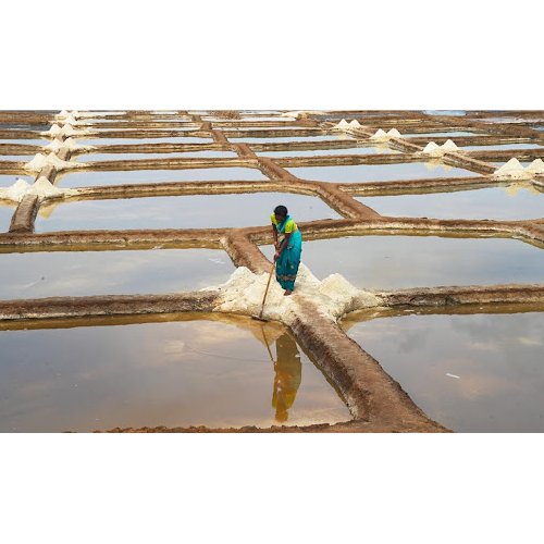 Reviving and promoting indigenous industries