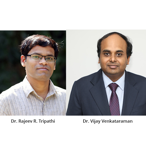 Leadership for Net-Zero Economy