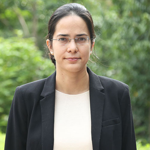 The Differentiated Environment: Person–Thing Orientation and Feedba...